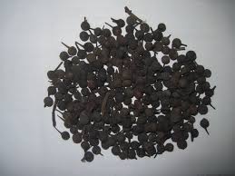 Maybe you would like to learn more about one of these? Piper Cubeba Kemukus Vs Litsea Cubeba Krangean Ano