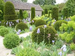 Iris And Yew Topiary At Hanham Court Garden Bristol England Spring 2011 Mediterranean Garden Design Garden Landscape Design Garden Planning