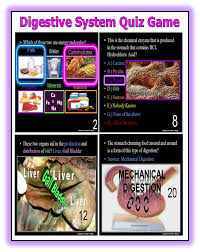 Read on for some hilarious trivia questions that will make your brain and your funny bone work overtime. Free This Is My Digestive System Quiz Game That Concludes My Digestive System Lesson Bundle Students Wor Digestive System Lessons Digestion Digestive System