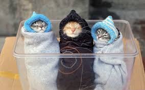 اقوي صور مضحكة عن البرد و الألبسة الغريبة في فصل الشتاء