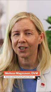 Dr. Melissa Magnuson shares why InTouch is AAHA's only preferred marketing  vendor