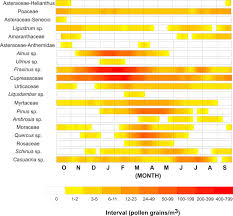 pollen in the atmosphere of mexico city and its impact on