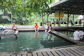The locals believed that this spring water is able to cure them of skin diseases and other ailments. 19 Relaxing Hot Springs To Visit For Your Short Getaway In Malaysia Johor Now
