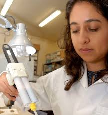 Noticias de la comunidadhispanoparlante: El IPHES, un referente mundial en  el estudio del microdesgaste dental aplicado al análisis de fósiles  prehistóricos