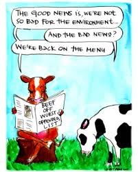 Ongoing Stable Methane Emissions From Cattle Doesn T Change The Climate Methane Emissions Cattle