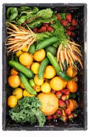 Aside from the typical vitamins and minerals found in most multivitamins, klean multivitamin also contains a unique fruit and vegetable blend, along with antioxidants such as lutein, lycopene, zeaxanthin, astaxanthin and pterostilbene. The Power Of Vitamins In Athletics Training Conditioning