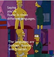 Historical Memes And Jokes Funny Memes Memes Stupid Funny Memes