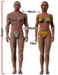 Pinch should be maintained while reading the caliper. Calculate Body Fat Percentage The Skinny Cook