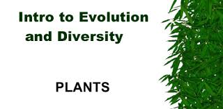 Ask questions and get answers from people sharing their experience with treatment. Evolution And Diversity Questions Trivia Quiz Proprofs Quiz