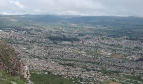 Image result for Melasma calycinum