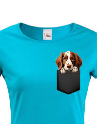 Image result for velššpringršpaněl