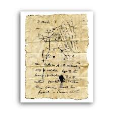 Charles Darwin Notebook Tree Of Life Evolution Diagram Sketch Darwin Tree Print 991x991 Poster Tree Of Life Evolution Charles Darwin Tree Print