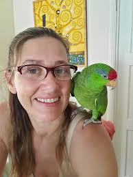 Lost Bird in Indio, CA