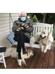 Errigal golden retrievers, deerfield, nh. Errigal Golden Retrievers 4 867 Photos Pet Service Deerfield Nh