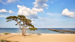 Check the top places to visit in the region and plan your next adventure today. 12 Saker Att Gora I Kristianstad Christineabroad Com