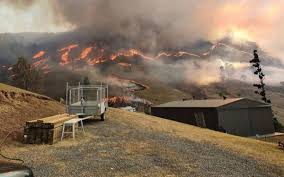 An average maximum of 40.9c was recorded on 17 december, broken a day later by 41.9c, both beating 2013's record of 40.3c. Incendios Forestales En Australia Arrasan Mas De 100 000 Hectareas