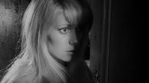 Daniel Dellaccio, Autore presso DassCinemag