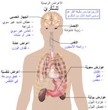 تكلفة الخدمة 2% من المبلغ المحول بحد أدني 30 قرش. Ø§Ù„Ø³ÙƒØ±ÙŠ Wikiwand