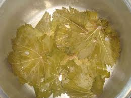 بزرگ ترین تولید کننده برگ مو ایران