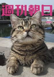柴咲コウ「猫と暮らすうちに、性格が穏やかになった気がします（笑）」 伏見美雪 2018.12.27 11:30 週刊朝日 #ねこ #動物 柴咲コウ（しばさき・こう. é€±åˆŠæœæ—¥ ã‚'çŒ«ãŒã‚¸ãƒ£ãƒƒã‚¯ å²©åˆå…‰æ˜­ æž—çœŸç†å­ã®çŒ«å¯¾è«‡ æŸ´å'²ã‚³ã‚¦ã‚‰ç™»å ´ æ›¸ç±ãƒ‹ãƒ¥ãƒ¼ã‚¹ Cinra Net