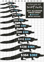 Are they saying an elephant is worth more than two buffalo? he lamented. Swamp People How Much Does A Gator Sell For Alligator Price Chart For 2011