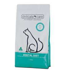 What Should Cat Breath Smell Like Archives Delicate Care