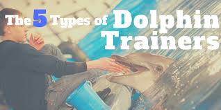According to the international marine animal trainers' association, most companies do not hire marine mammal trainers who do not possess a college degree in a field such as zoology, veterinary medicine, ecology or marine biology. The 5 Types Of Dolphin Trainers Marine Mammal Trainer
