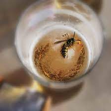 Mieter kann wespennest entfernen lassen immobilien haufe wespen in der wohnung massnahmen. Was Du Mit Wespen Tun Kannst Und Besser Bleiben Lasst Wwf Blog