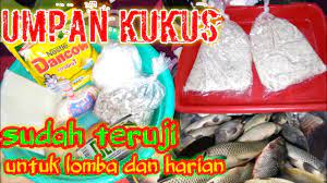 We did not find results for: Cara Membuat Umpan Putih Ikan Mas Spesial Pak Ikin Untuk Lomba Dan Harian Youtube