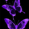 See more ideas about purple aesthetic, purple, lavender aesthetic. Https Encrypted Tbn0 Gstatic Com Images Q Tbn And9gcsktihhmymojsqwwvgvxpspjbutypf8buvnvwrhncyqkfu0x5qv Usqp Cau