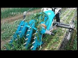 玉ねぎ管理作業 歩行型玉ねぎ収穫機 Moh 4msr Youtube