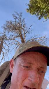 ❤️ #fall #deer #friends