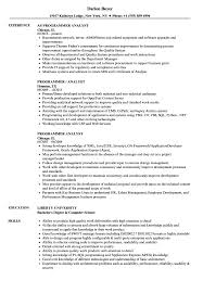 Programmer Analyst Resume Samples Velvet Jobs