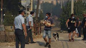 Πρακτορείο μεταφορών δασ μεταφορικη οε. Efvlo2nuamvafm