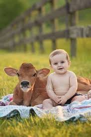 Baby And Animal Photos Picture Ideas Baby Boy And Baby Cow Animals Baby Animals Cute Animals