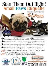 Maybe you would like to learn more about one of these? Puppy Training Happy Dogs Estepona