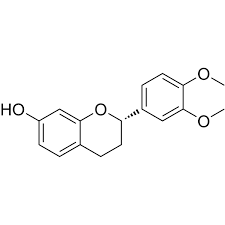 Image result for Trilepisium madagascariense