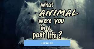 What Animal Were You In A Past Life What Animal Are You Whats Your Spirit Animal Your Spirit Animal