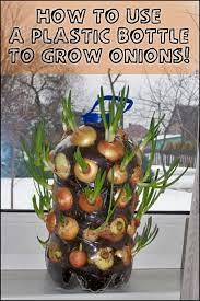 Pin On Gardening Ideas