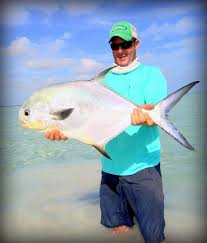 We did not find results for: Gareth Jones Permit Fish Fly Fishing Fishing Photos
