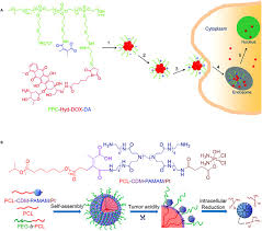 Try to check for other payment method or contact our customer service. Multi Stimuli Responsive Polymer Particles Films And Hydrogels For Drug Delivery Sciencedirect