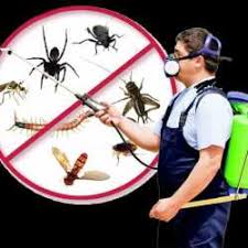 Ever since we have made it our goal to finding and researching for innovative and groundbreaking solutions for eliminating different. Top 100 Residential Pest Control Services In Nagpur Best Pest Control Services Justdial