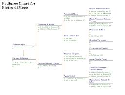 Find out how surnames are ranked in popularity, how many people in the united states of america bear a particular name, and how the statistics change between 1990 and 2000 us censuses. Daily Pedigree Charts Pietro Di Meco B 1902 Pescara Genealogy