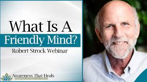 What Is A Friendly Mind?