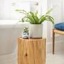 Air purifying plants for bathroom from www.allure.com
