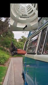 Image result for Bussea