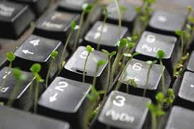 Resultado de imagem para globalizaÃ§Ã£o e ambiente