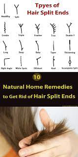 10 Natural Home Remedies To Get Rid Of Hair Split Ends Split Hair Long Hair Styles Hair Remedies