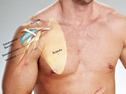 Image result for Subacromial Space Injection