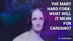 Cardano adalah platform inovatif yang dibuat untuk menerapkan ekonomi cryptocurrency dan demokratisasi peredaran uang di pasar negara berkembang. The Mary Hardfork What Will It Mean For Cardano By Cardano Foundation Cardanorss Feb 2021 Medium
